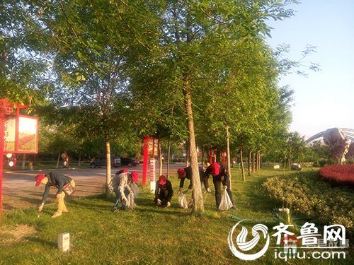 志愿者們在公園內(nèi)撿拾垃圾