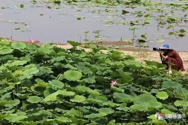 杭州的西湖，莒縣的西湖煙雨