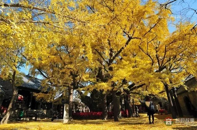 再過幾天，莒縣這個地方要火……先睹為快！