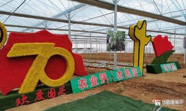 總投資1.2億元！莒縣這個“后花園”2020年上半年開門納客